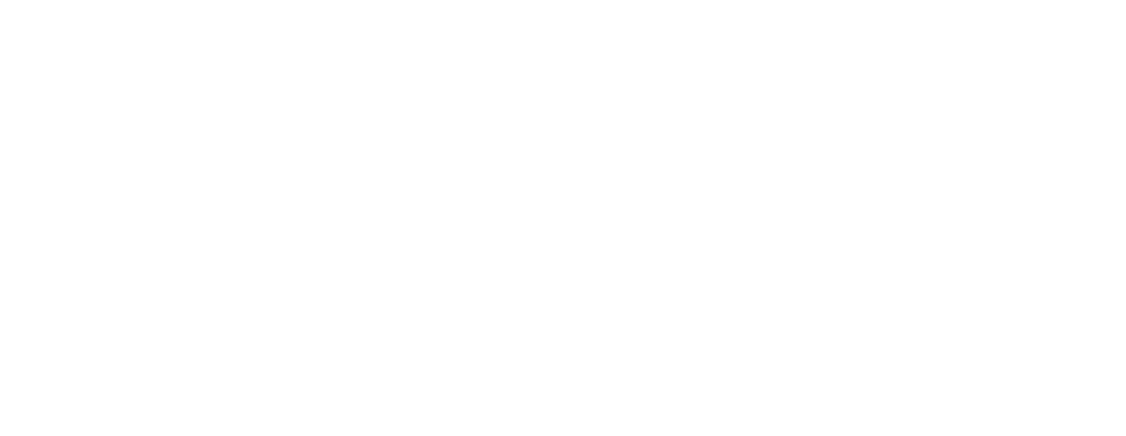 Revolutionary Spa - Converting Digital