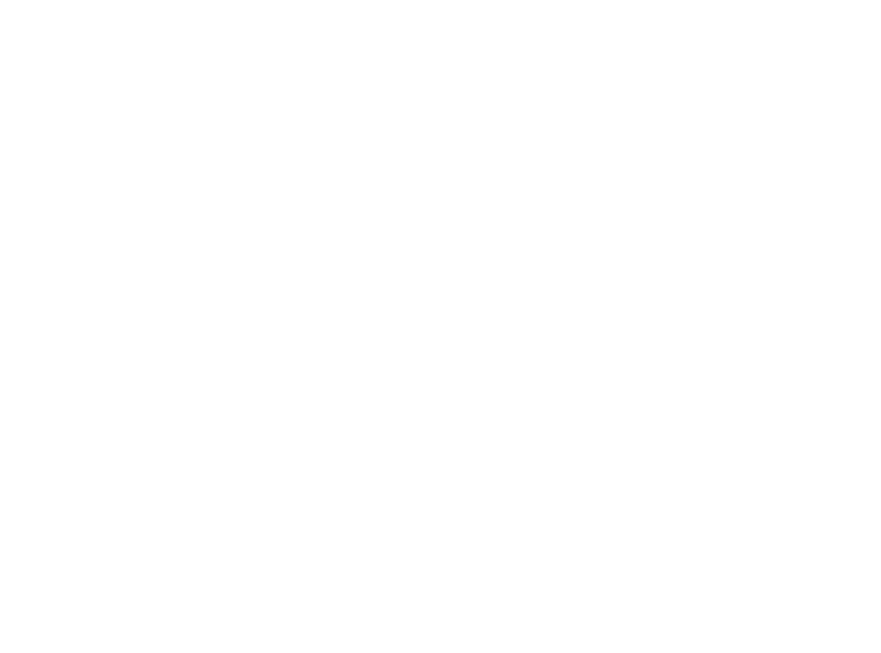 The Owl - Converting Digital